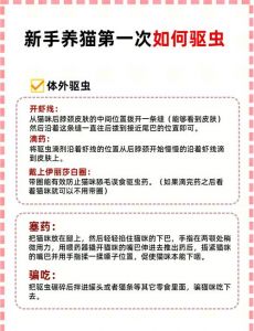 驱猫最有效5种小妙招_气味声音光线妙用，物理心理方法安全