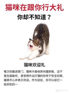 赶走猫最狠的方法_如何驱赶猫咪远离家？