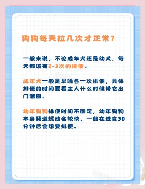 二月幼犬上厕所频率_二月幼犬排便频繁？正常与异常解析