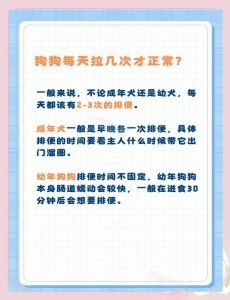 二月幼犬上厕所频率_二月幼犬排便频繁？正常与异常解析