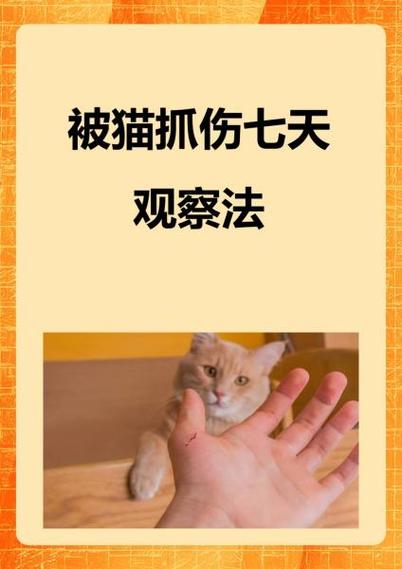 皮肤被猫轻微抓破了怎么办_猫抓伤别慌,立即冲洗消毒打疫苗! 皮肤被猫轻微抓破了怎么办_猫抓伤别慌,立即冲洗消毒打疫苗!