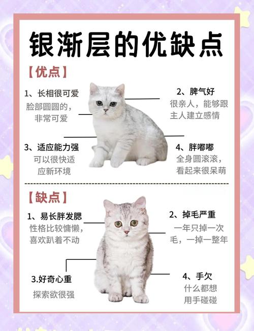 猫耐热还是耐寒_猫咪怕冷怕热易生病,注意防暑保暖! 猫耐热还是耐寒_猫咪怕冷怕热易生病,注意防暑保暖!