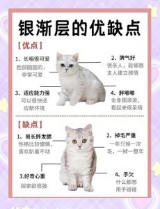 猫耐热还是耐寒_猫咪怕冷怕热易生病，注意防暑保暖！