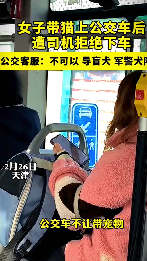 上海公交车让带猫_上海周末公交专座,带宠出行更方便! 上海公交车让带猫_上海周末公交专座,带宠出行更方便!