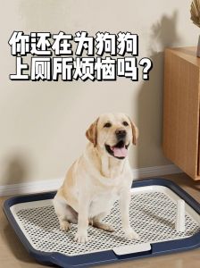 洁厕灵对狗狗有害吗_洁厕灵剧毒！宠物安全清洁妙招