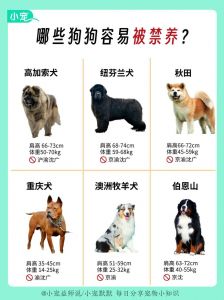 襄阳市禁养犬名单_襄阳市禁养45类犬，养犬须登记，违规将受罚