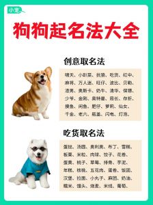 高雅不俗的狗名_品味与个性的体现