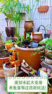 旧水缸养鱼的正确方法_老水缸养鱼不换水，生态平衡是关键