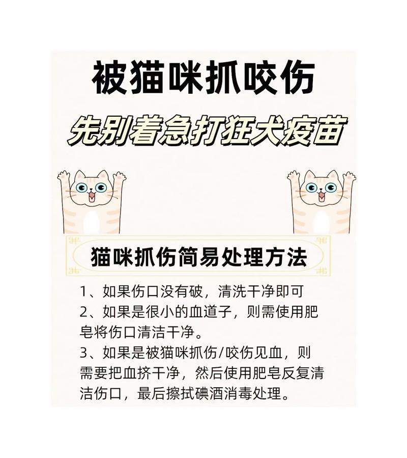 新抓的小猫整夜叫怎么办_新猫叫唤怎么办?查需求给安抚 新抓的小猫整夜叫怎么办_新猫叫唤怎么办?查需求给安抚