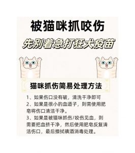 新抓的小猫整夜叫怎么办_新猫叫唤怎么办？查需求给安抚