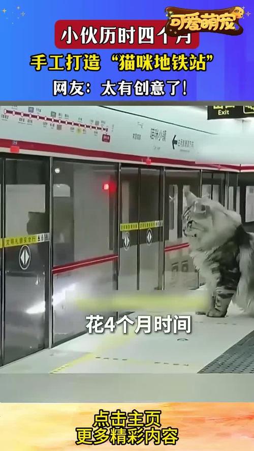 地铁站可以带猫包吗_早高峰地铁带猫咪引关注,养宠出行如何做? 地铁站可以带猫包吗_早高峰地铁带猫咪引关注,养宠出行如何做?