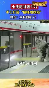 地铁站可以带猫包吗_早高峰地铁带猫咪引关注，养宠出行如何做？