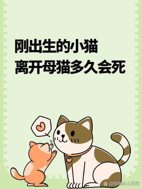 把小猫送人母猫会伤心吗_母猫送走小猫后伤心?别担心,这样帮它过渡 把小猫送人母猫会伤心吗_母猫送走小猫后伤心?别担心,这样帮它过渡