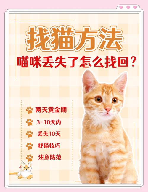 猫走丢了能自己回家吗_猫咪天生会回家?这几点帮它安全回家 猫走丢了能自己回家吗_猫咪天生会回家?这几点帮它安全回家