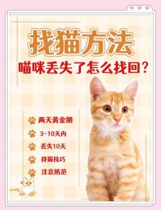 猫走丢了能自己回家吗_猫咪天生会回家？这几点帮它安全回家