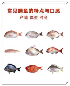 花鲷鱼为什么不建议吃_少吃花鲷鱼，汞多伤身易中毒