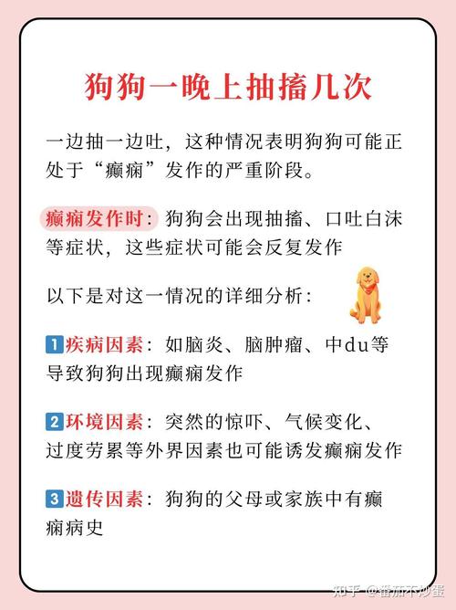 神经性犬瘟抽搐多久死_犬瘟抽搐怎么办?及时治疗是关键! 神经性犬瘟抽搐多久死_犬瘟抽搐怎么办?及时治疗是关键!