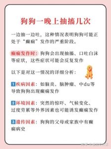 神经性犬瘟抽搐多久死_犬瘟抽搐怎么办？及时治疗是关键！