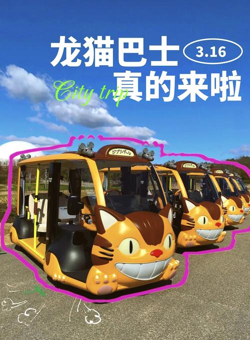 大巴车可以带宠物猫吗_17小时受罪，出行需备足！