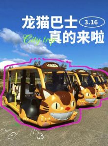 大巴车可以带宠物猫吗_17小时受罪，出行需备足！