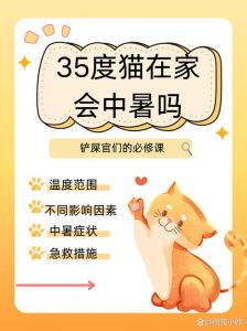 猫比人怕冷还是怕热_猫咪怕冷怕热？照顾好你的小毛球！