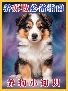 苏格兰牧羊犬为什么禁养_大型犬如苏格兰牧羊犬或遇限