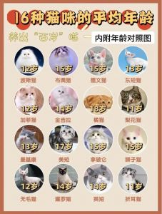 半年的猫属于成年猫吗_性成熟与喂养调整