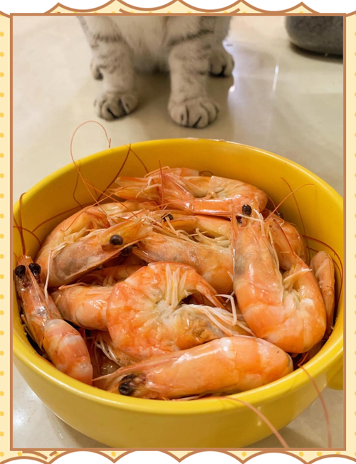 猫误吃了放葱姜的虾会中毒吗_猫咪误食葱姜中毒怎么办? 猫误吃了放葱姜的虾会中毒吗_猫咪误食葱姜中毒怎么办?