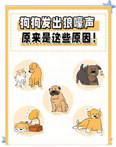 狗嚎叫是不是一种不好的征兆_狗叫有啥原因？科学解读告别迷信
