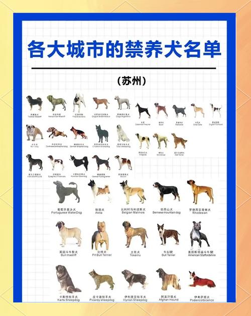 四川省禁养犬目录_成都更新禁养犬目录,增14减1,细化标准,违规将罚 四川省禁养犬目录_成都更新禁养犬目录,增14减1,细化标准,违规将罚