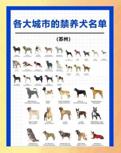 四川省禁养犬目录_成都更新禁养犬目录，增14减1，细化标准，违规将罚