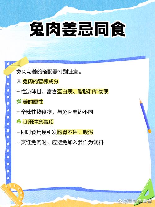兔肉尽量少吃最好不吃_兔肉虽好要适量,易胖伤肾需注意 兔肉尽量少吃最好不吃_兔肉虽好要适量,易胖伤肾需注意