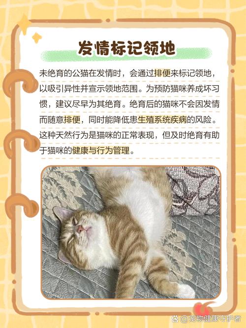 猫忽然乱拉屎的原因是什么_猫咪乱拉屎?健康环境心理都查查! 猫忽然乱拉屎的原因是什么_猫咪乱拉屎?健康环境心理都查查!