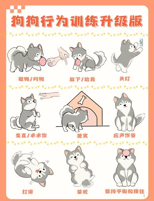 给小狗狗简单的任务_因材施教乐趣多 给小狗狗简单的任务_因材施教乐趣多