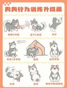 给小狗狗简单的任务_因材施教乐趣多