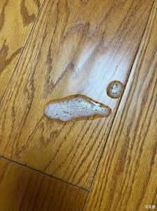 猫抽搐吐白沫四腿乱蹬_猫咪抽搐怎么办？速查原因及时救！