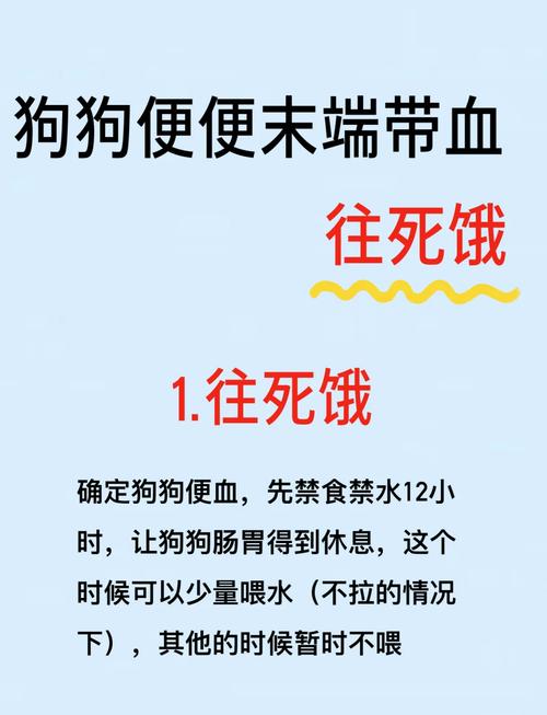 刚满月的小狗拉稀怎么办_满月小狗拉稀怎么办？