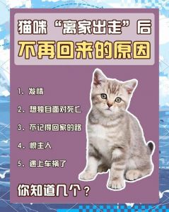 把小猫扔了母猫会恨主人吗_母猫送小猫后的情绪波动与应对
