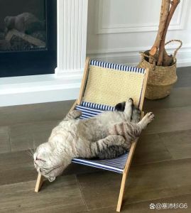 陌生的小猫跑到我腿边睡觉_小猫信任我，睡我腿上渴望陪伴