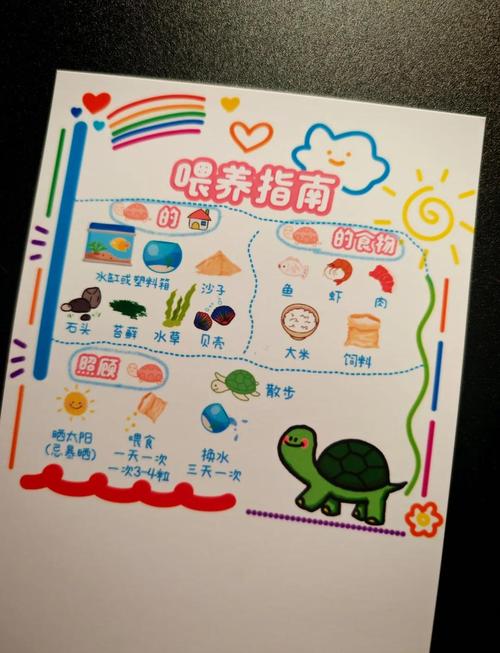 养龟指南_宿舍鱼缸饲养全攻略 养龟指南_宿舍鱼缸饲养全攻略