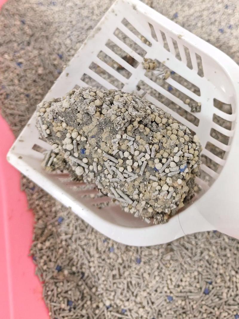 5斤猫砂够用一个月吗_5斤猫砂够用多久?因猫量砂种习惯而异 5斤猫砂够用一个月吗_5斤猫砂够用多久?因猫量砂种习惯而异