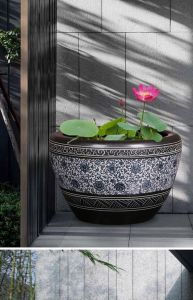 院子水缸适合养鱼还是养花_鱼花搭配，营造诗意小生态