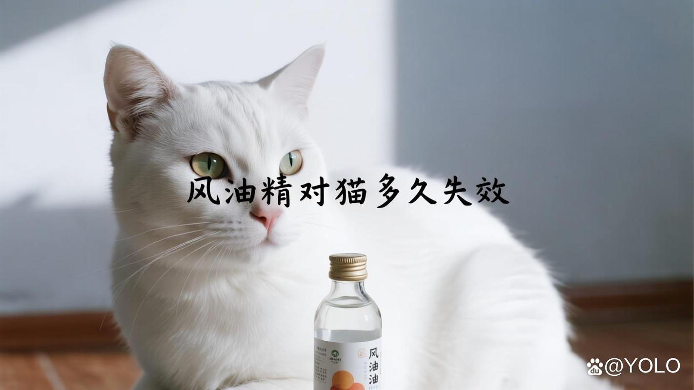 猫风油精味闻多了有影响吗_风油精对猫咪有毒，要远离！