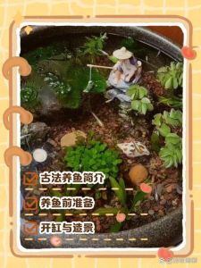 农村老水缸如何养鱼不换水_老水缸养鱼不换水，生态循环超省心