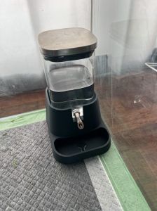 小龙猫多久换一次水_水壶换水与喂养小贴士