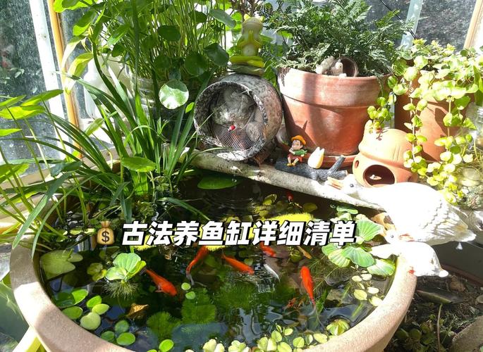 露天水缸养鱼要换水吗_养鱼水缸每周换13水，注意水质！