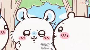 我是飞鼠的七大理由_滑翔舞者，可爱又独特