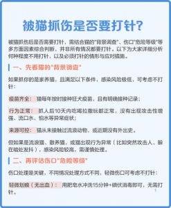 老一辈被猫抓伤为啥不用打针_猫抓伤老辈少打疫苗？科学处理伤口及时接种！