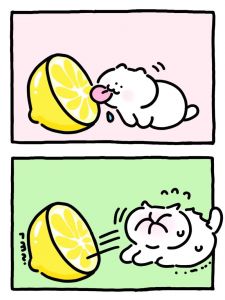 刚好喜欢你柠檬味的猫_奇幻治愈，换个角度看世界