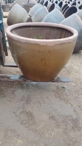 老水缸养鱼为什么养不活_新手养鱼忌贪多求急，注意水质和密度